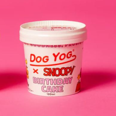 Snoopy Birthday Cake Yog Dog