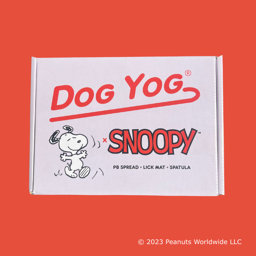 Limited Edition Snoopy Gift Box